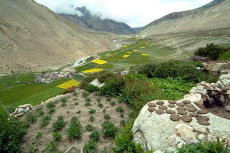 DSCF0054-1 Tibet